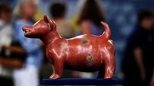 Appraisal: Colima Pottery Dog Figure, 200 BC - 200 AD