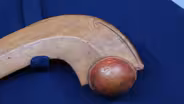 Appraisal: Ceremonial War Club, ca. 1850