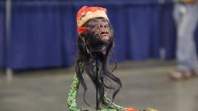 Video thumbnail: Antiques Roadshow Web Appraisal: Amazon Basin Jivaro Shrunken Head