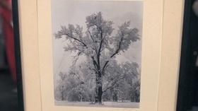 Video thumbnail: Antiques Roadshow Appraisal: Ansel Adams Special Edition Print, ca. 1970
