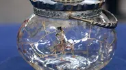Appraisal: Mt. Washington "Napoli" Biscuit Jar, ca. 1895
