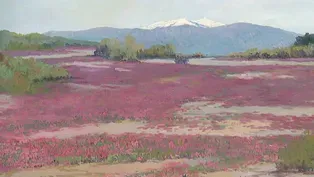 RMW 001: Stolen California Plein Air Collection