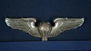 Appraisal: Military Aeronaut Wing, ca. 1920