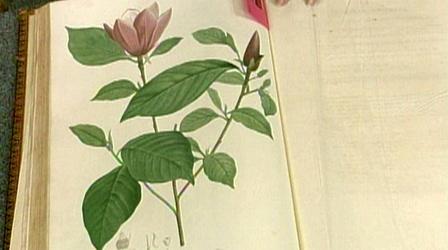 Video thumbnail: Antiques Roadshow Appraisal: "Jardin de la Malmaison" Book