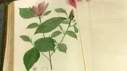 Appraisal: "Jardin de la Malmaison" Book