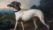 Appraisal: British Dog Portrait, ca. 1830