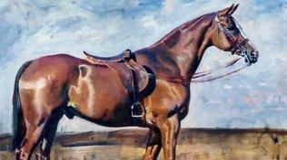 Roadshow's Most Wanted: Hobcaw Barony