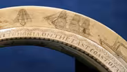 Appraisal: Scrimshaw Hippo Tooth, ca. 1840