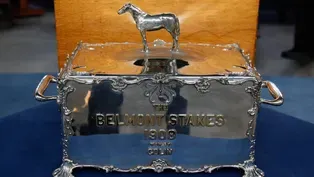 Appraisal: 1908 Tiffany Equestrian Humidor