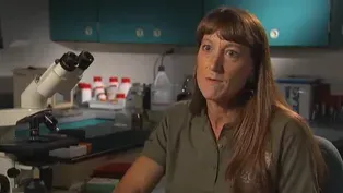 Bonus Interview: Dr. Terry Roth, Cincinnati Zoo