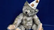 Appraisal: Steiff White Clown Bear, ca. 1920