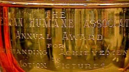 Video thumbnail: Antiques Roadshow Appraisal: American Humane Assoc. Trophy