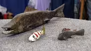 Appraisal: Folk Art Fish Decoys, ca. 1930