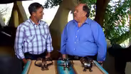 Field Trip: Vintage Spurs