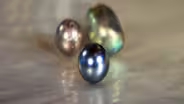 Bonus Web Video: More Pearls of Wisdom