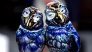 Appraisal: Martin Brothers Wally Birds Humidor, ca. 1905
