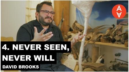 Video thumbnail: The Art Assignment Never Seen, Never Will - David Brooks