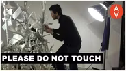 Please Do Not Touch