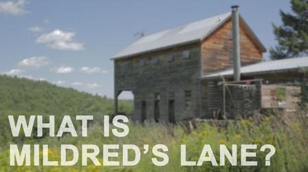 Video thumbnail: The Art Assignment What is Mildred's Lane?