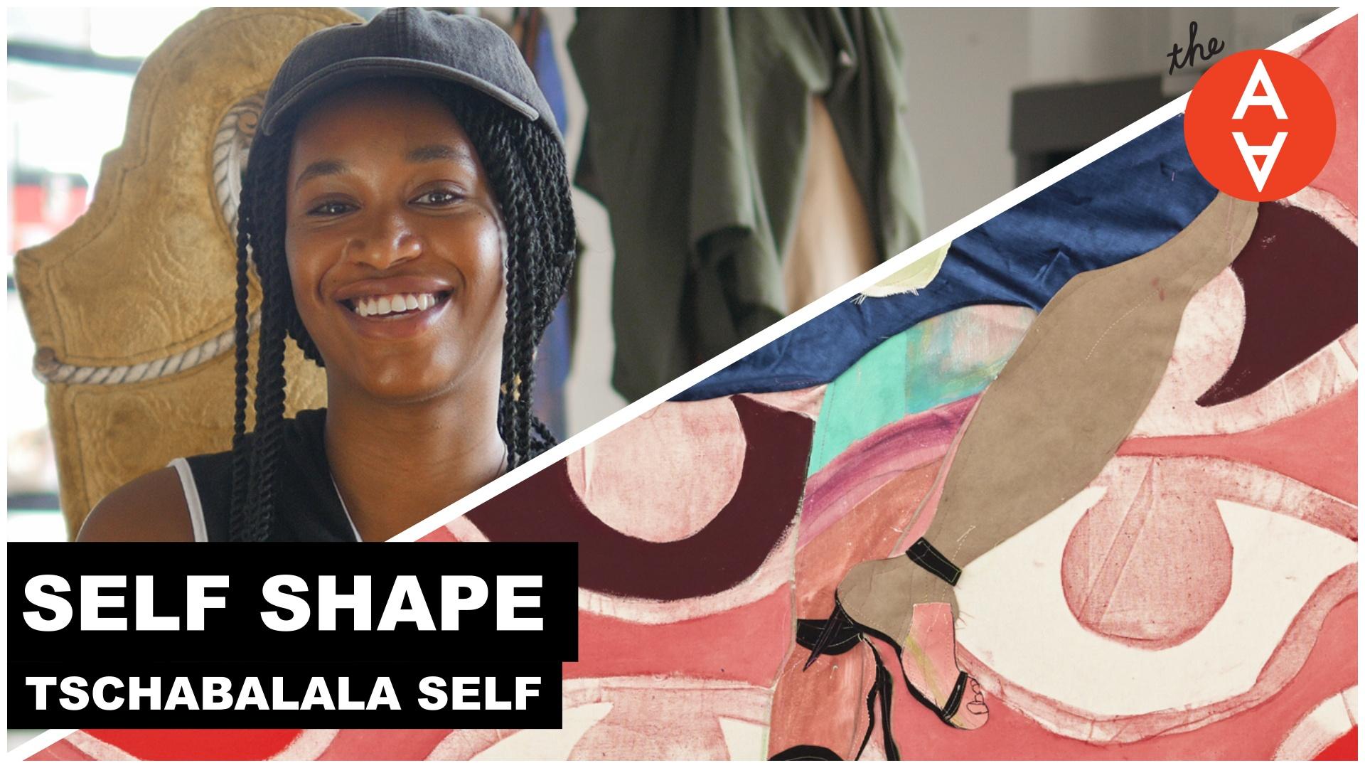 The Art Assignment, Self Shape - Tschabalala Self