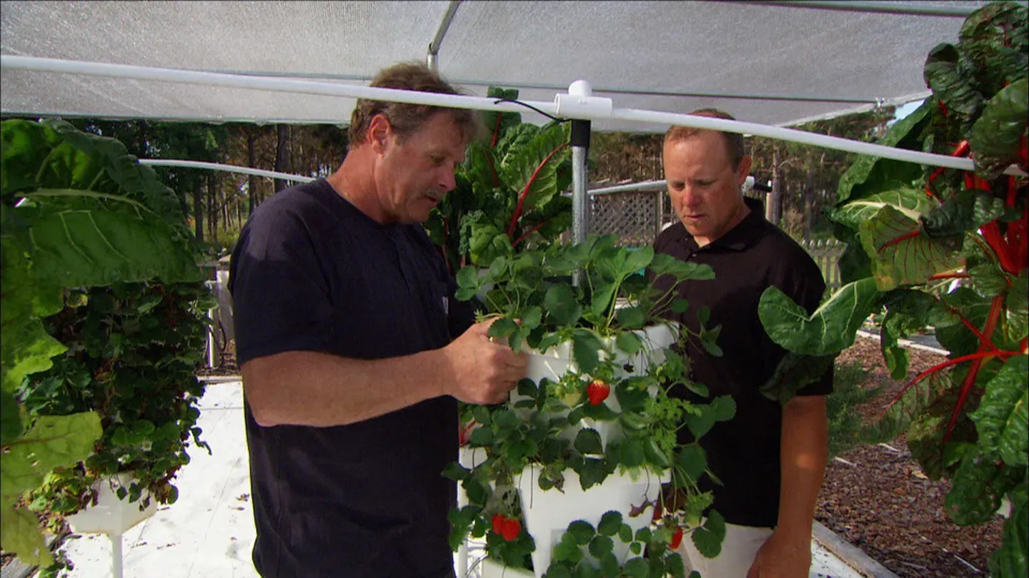 Ask This Old House | Hydroponic Garden, New Spigot