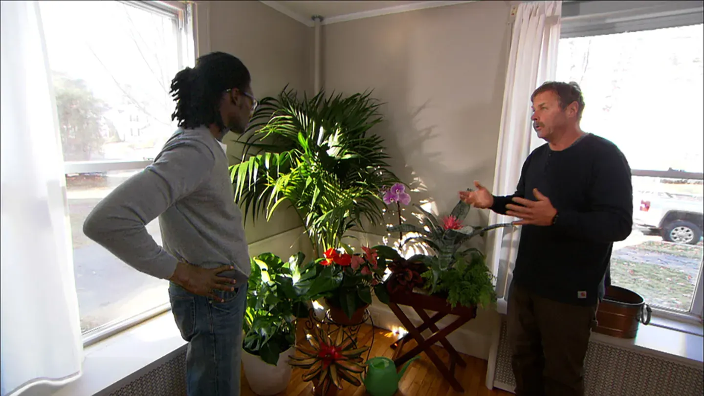 Ask This Old House | Houseplants, US Flag