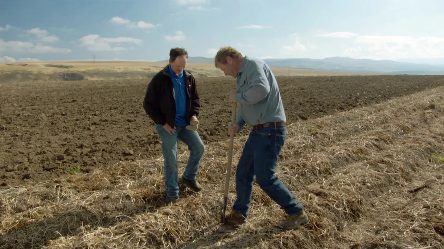 Ask This Old House | Potatoes, Track Lights
