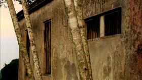 Video thumbnail: Black in Latin America "Black Fear"