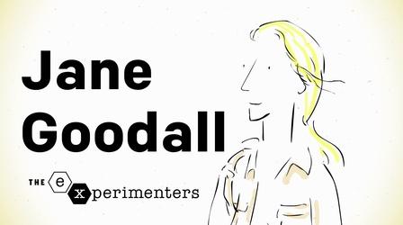 Video thumbnail: Blank on Blank Jane Goodall on Instinct