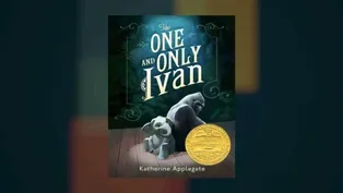 Katherine Applegate Interview at Miami Book Fair