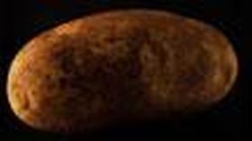 Video thumbnail: Botany of Desire Potatoes - Web Extra with Michael Pollan