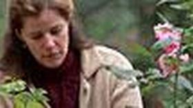Video thumbnail: Botany of Desire Like A Florist From 100 Years Ago