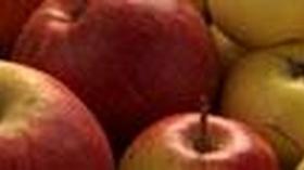 Video thumbnail: Botany of Desire Apples - Web Extra with Michael Pollan