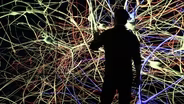 The Brain with David Eagleman | Preview