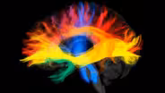 Episode 6 | The Connectome: Mapping the Brain