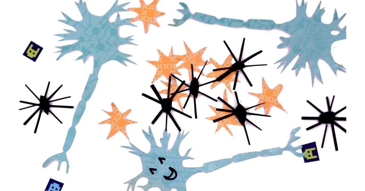 Amazing Brain Cells You've Never Heard of