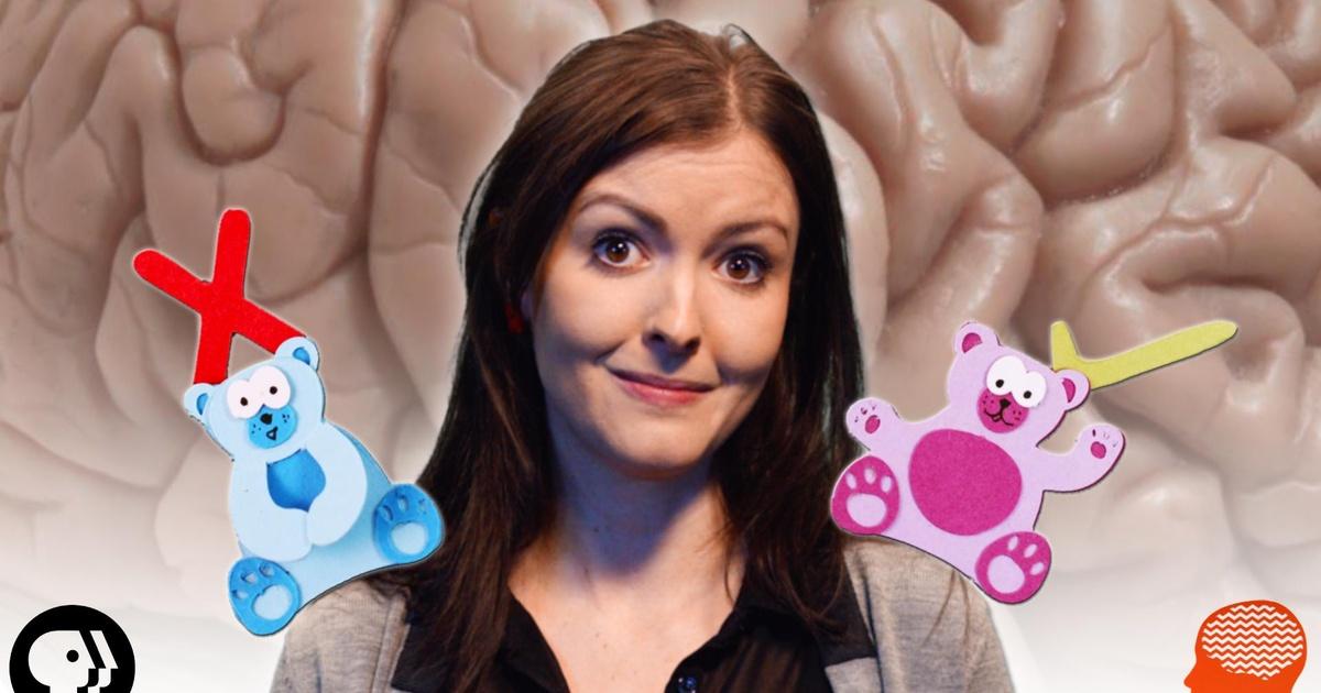 Braincraft BrainCraft | 4 Psychology Myths You Probably Thought Were True | Season ...