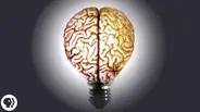 The Secret to Creativity