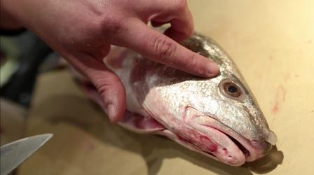 Video thumbnail: A Chef's Life Eastern North Carolina Fish Stew