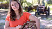 One Potato, New Potato