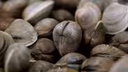 Preview: Season 3, Ep. 10: Gone Clamming, Part I