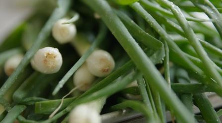 Video thumbnail: A Chef's Life Spring Onions