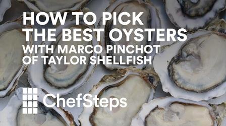 Video thumbnail: ChefSteps Choosing Oysters