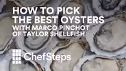 Choosing Oysters