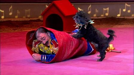 Video thumbnail: Circus Performance: Luciano's Pound Puppies