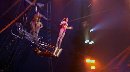 Circus Physics: Linear Momentum