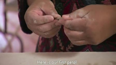 Video thumbnail: Craft in America Veronica Castillo builds a Tree of Life - Poinsettia