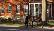 A caisson soldier's last day