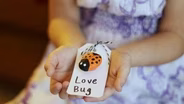 Salt Dough Love Bug Valentine's Cards 