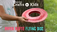 Paper Plate Flying Disc